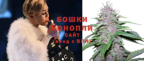 крисы Вязьма