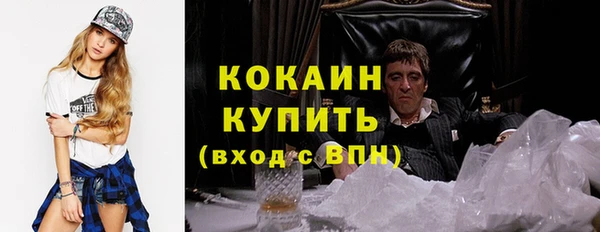 гидра Володарск