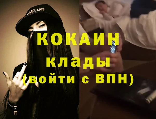 гидра Володарск