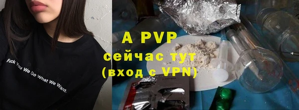 кокс Вяземский